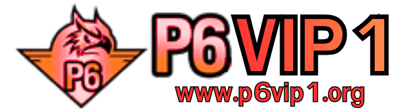 p6vip1 - logo